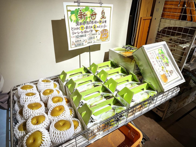 【鳥取県産】新甘泉　９玉セット 江府町産・新甘泉入荷しております！お知らせ・ブログ(詳細)｜株式会社